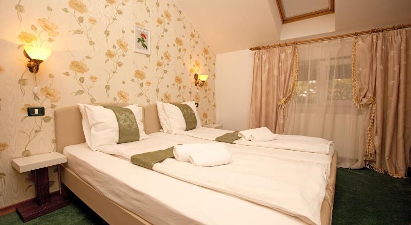 Pension Dinu Residence ティミショアラ エクステリア 写真